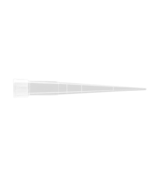el_img2